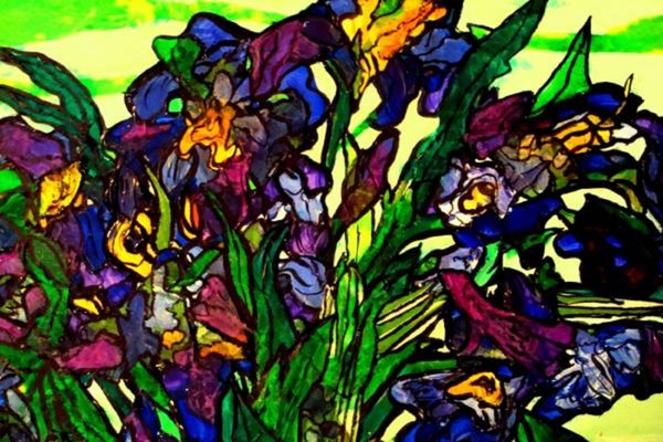 VanGogh Iris' in Focus