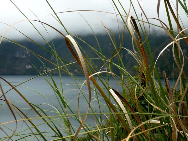 CUICOCHA