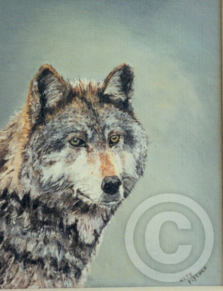 Wolf