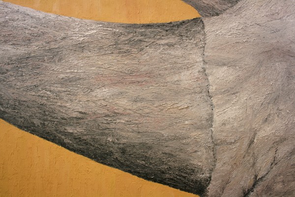 RJ Detail