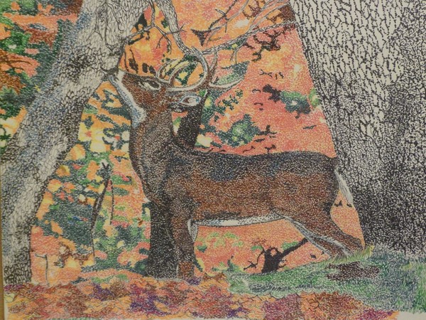 Deer in the Woods