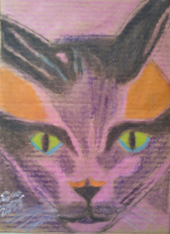 Pink cat with Green Eyes