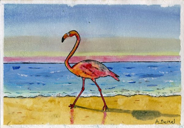 Flamingomania