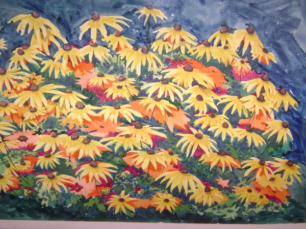 Black-eyed susans