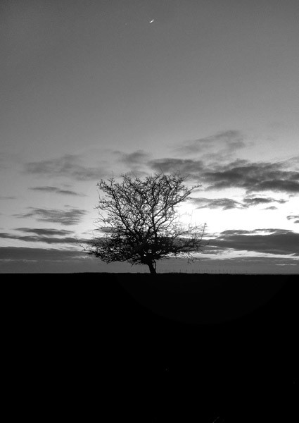 Earth