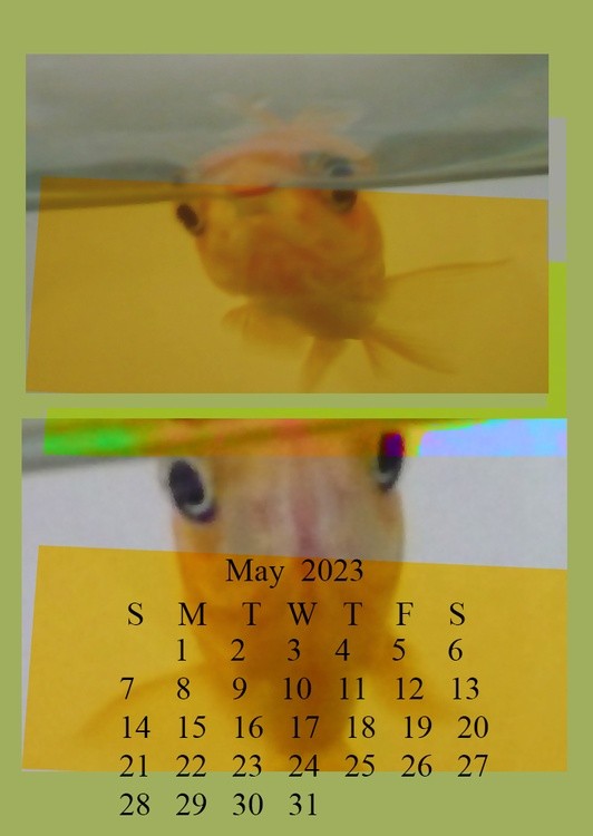Calendar 2023