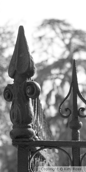 Fleur de Lis