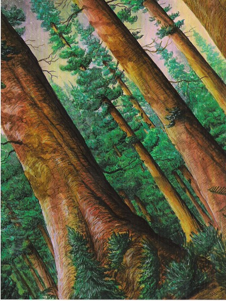Trees