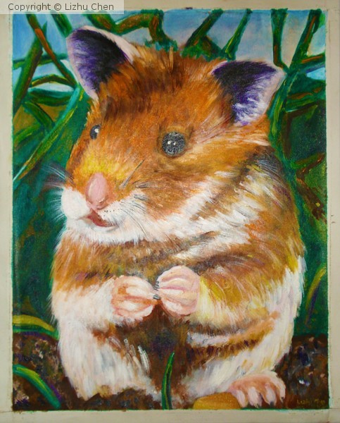 Hamster