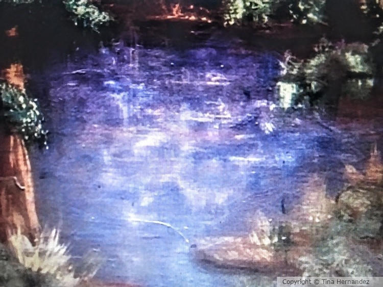 The Lake