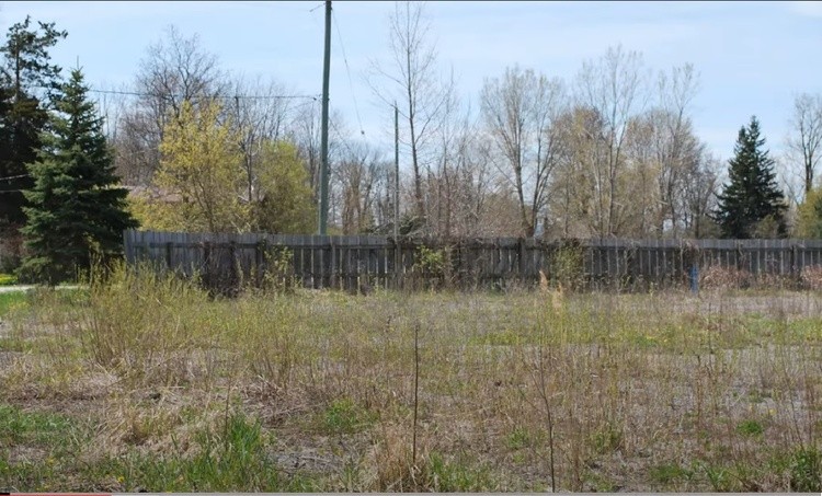 Dunnville Forest 8