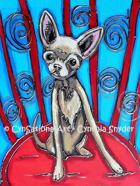 Chihuahua Stare