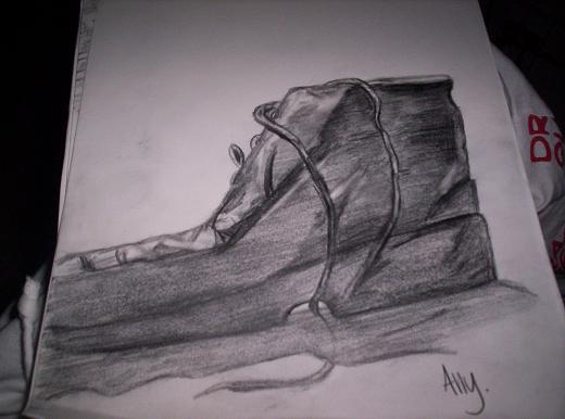 Lone Shoe