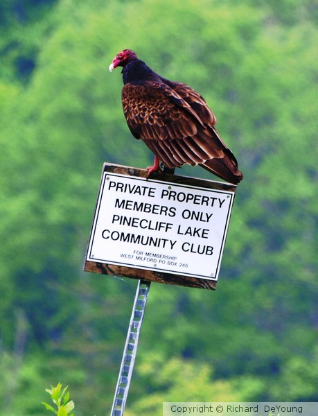 MEMBERS ONLY
