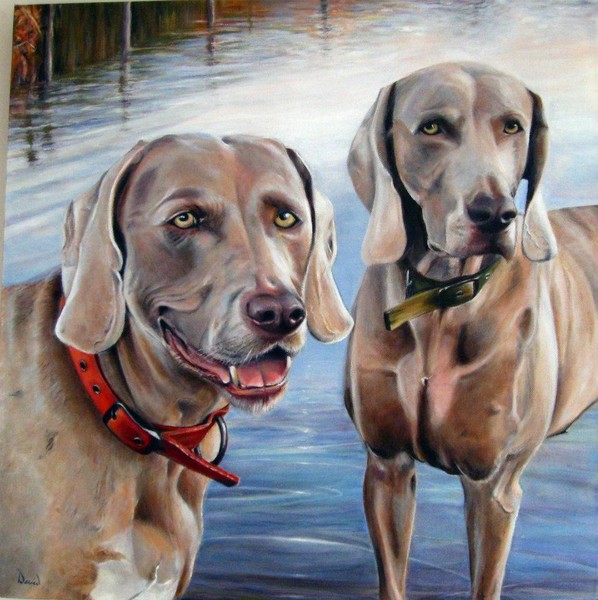 DIAMOND DOG'S