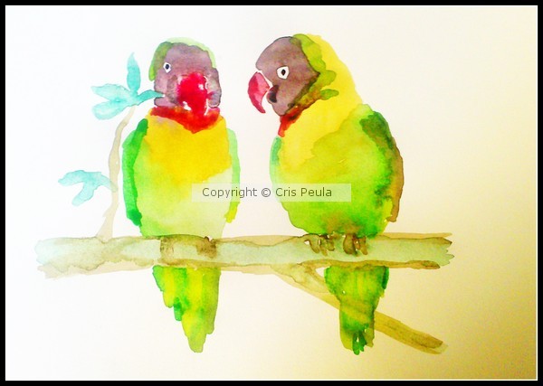 parrots watercolor