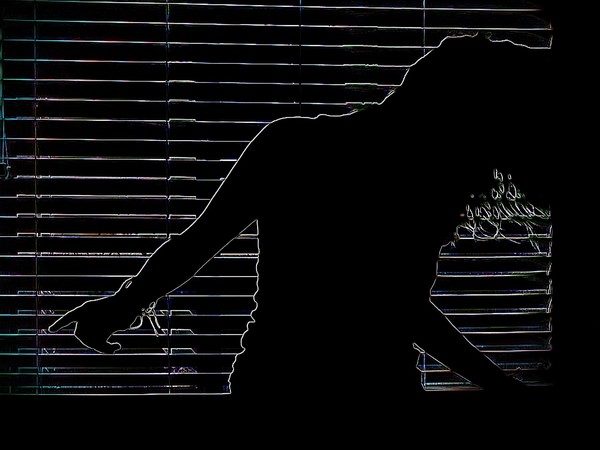 Dance Into Dark