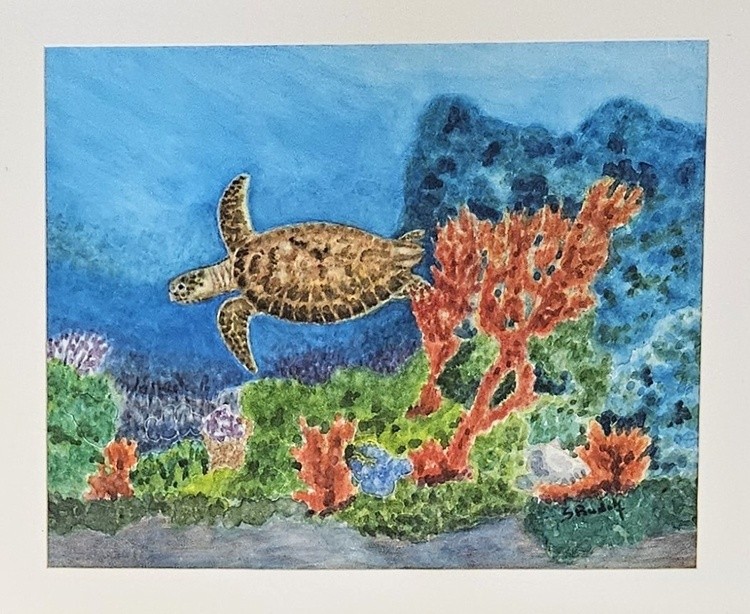 seaturtle#2