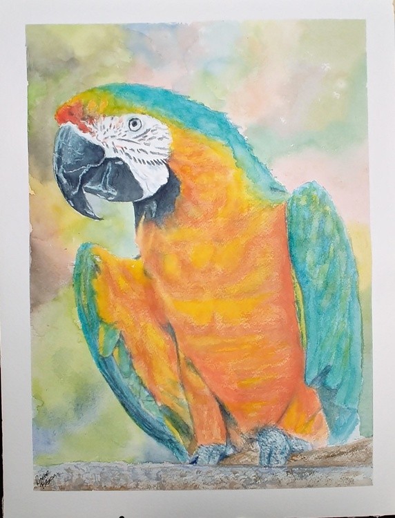 Parrot4 Fotor