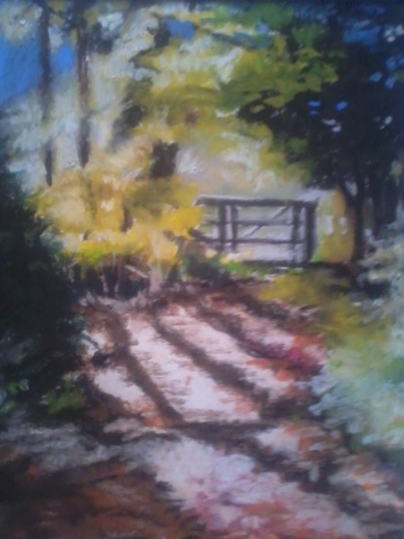 A walk in the woods