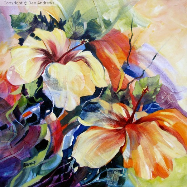 Hibiscus Beauty