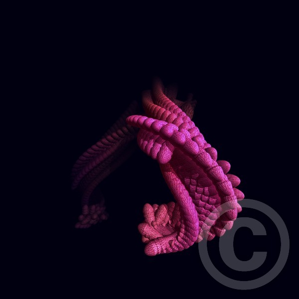 ..Octopus in the deep blue sea