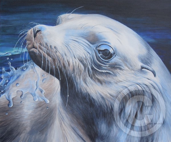 Seal Portrait
