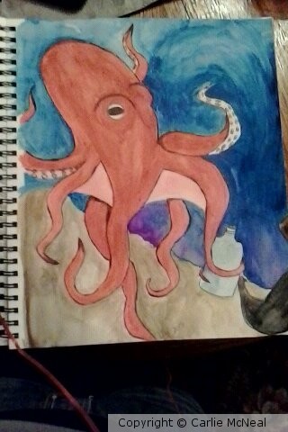 octopus