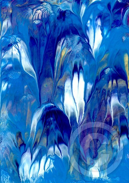 jellyfish 2