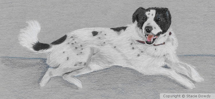 Domino