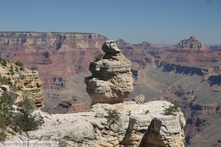 Duck Rock
