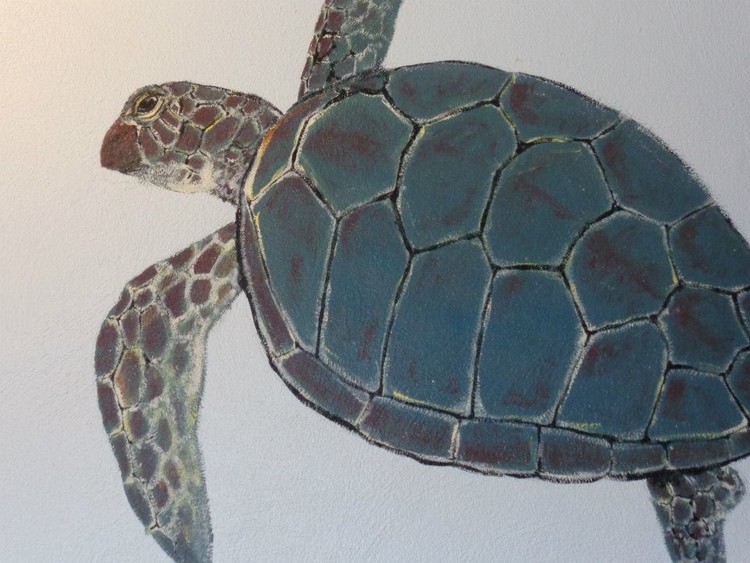 Turtle