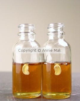 Clone in lab