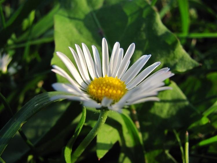 IMG 0056e