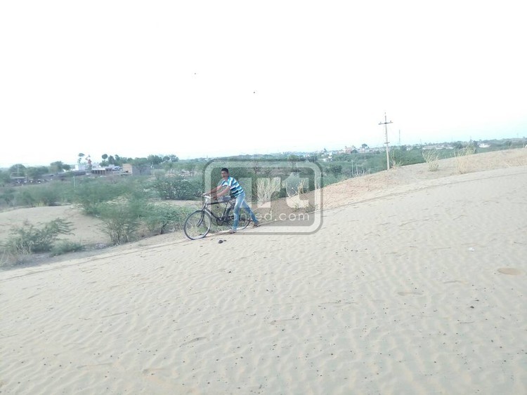 desert of Rajasthan
