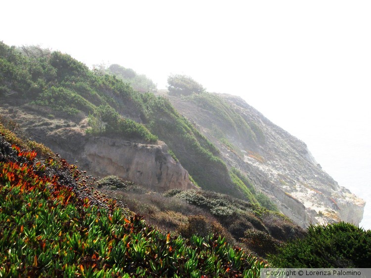 Other Side of the Cliff