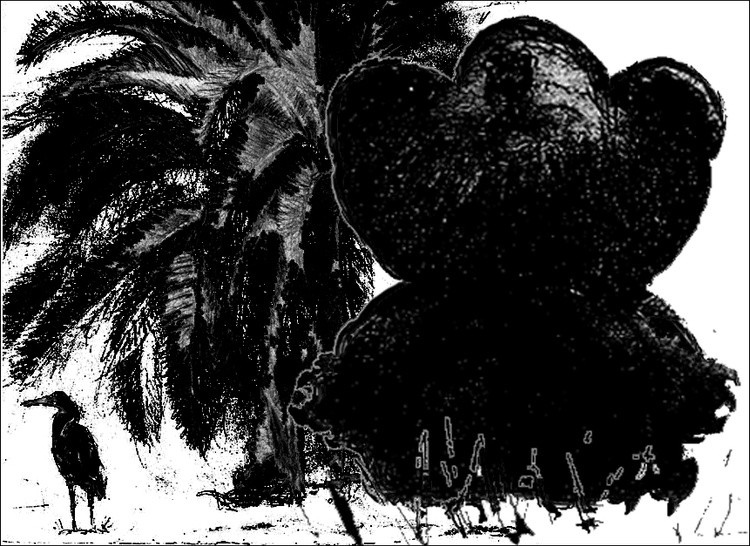 Kids Book Bear+Palm Tree Shadow Sketch