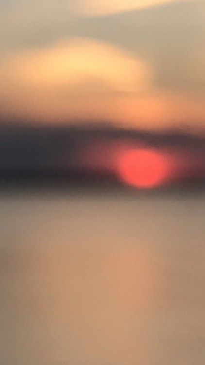 Rothko’s eye