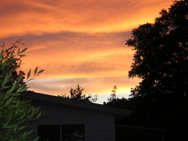 Beautiful Colors 