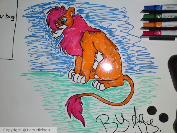lion