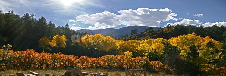 Fall is here