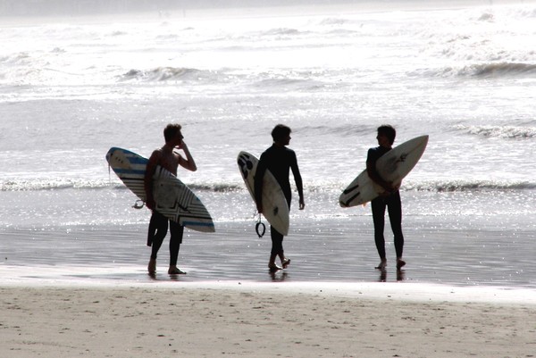 the surfers