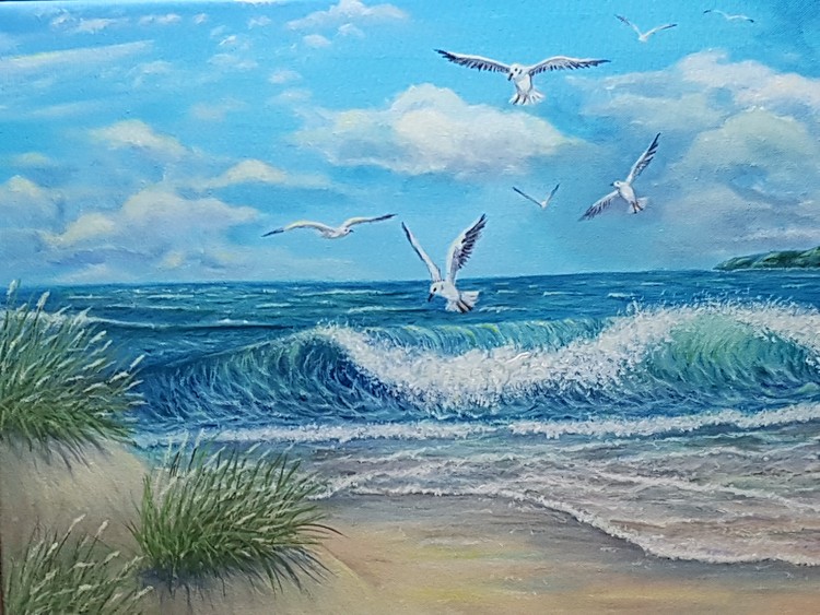 Seagulls o