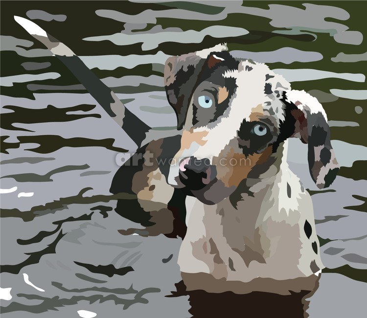 Catahoula