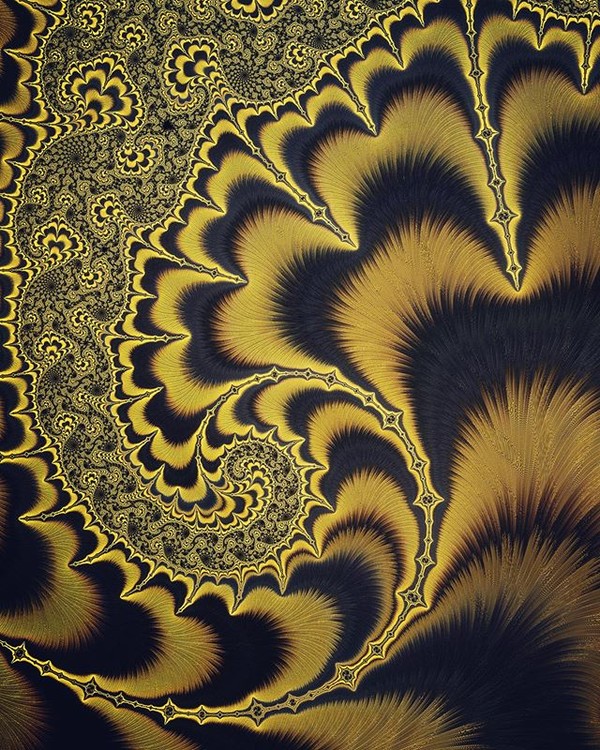??Bumblebee ??
~~~~~~~~~~~~~~~~~~~~~~
#mandelbrot #fractals #sacredgeometry #insect #bumblebee??