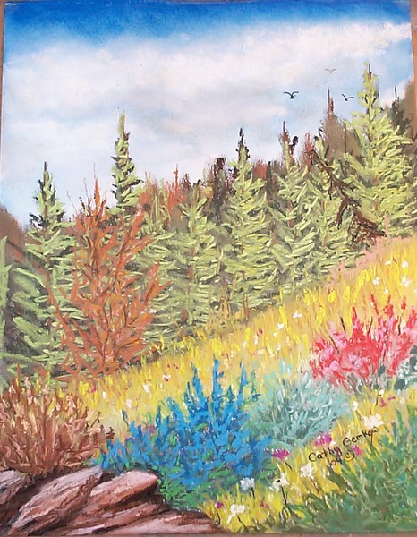 SLEEPY MEADOWS