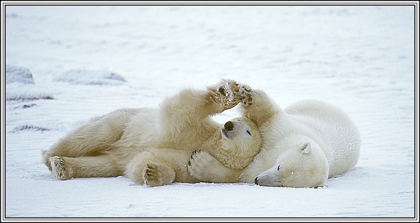 Loving Embracement