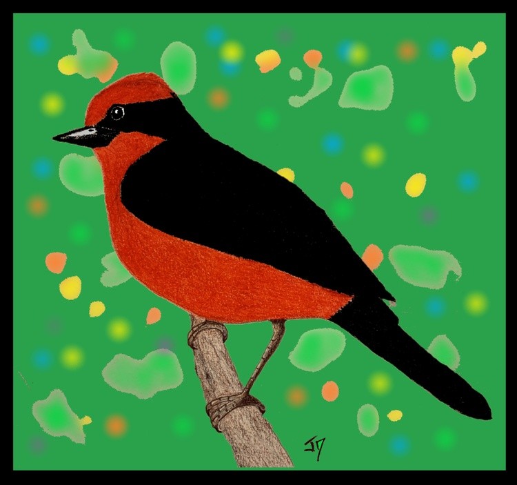 Vermillion Flycatcher 3D