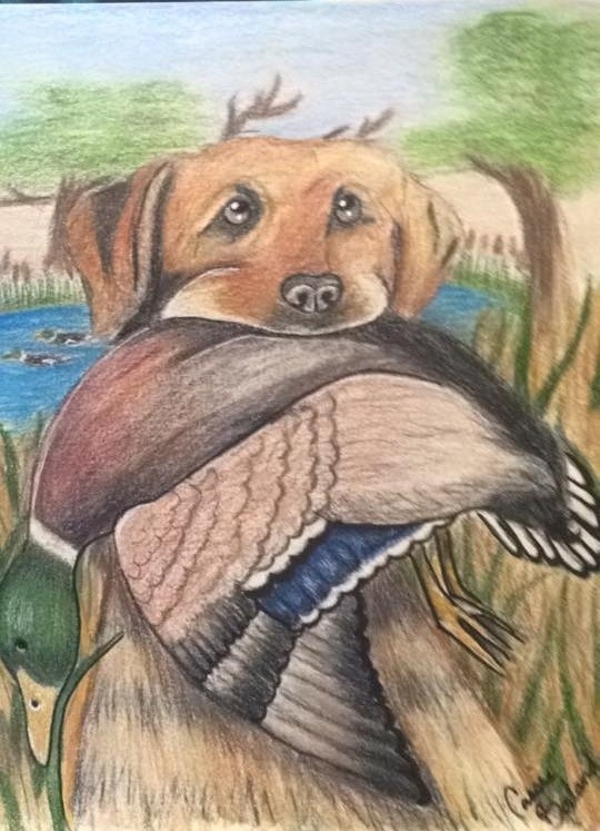 Gone Hunting