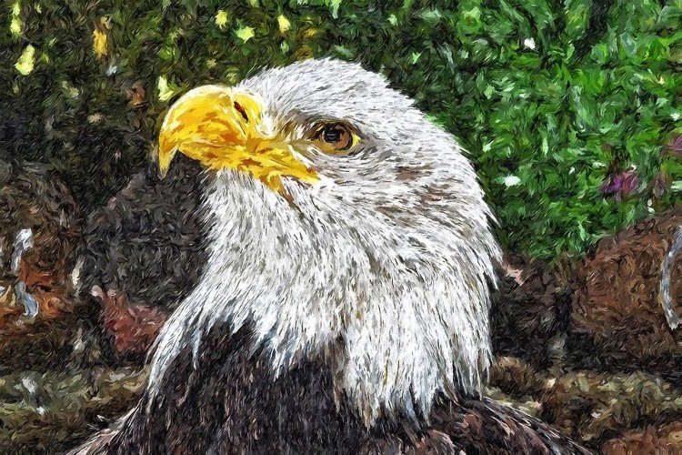 Eagle well oiled